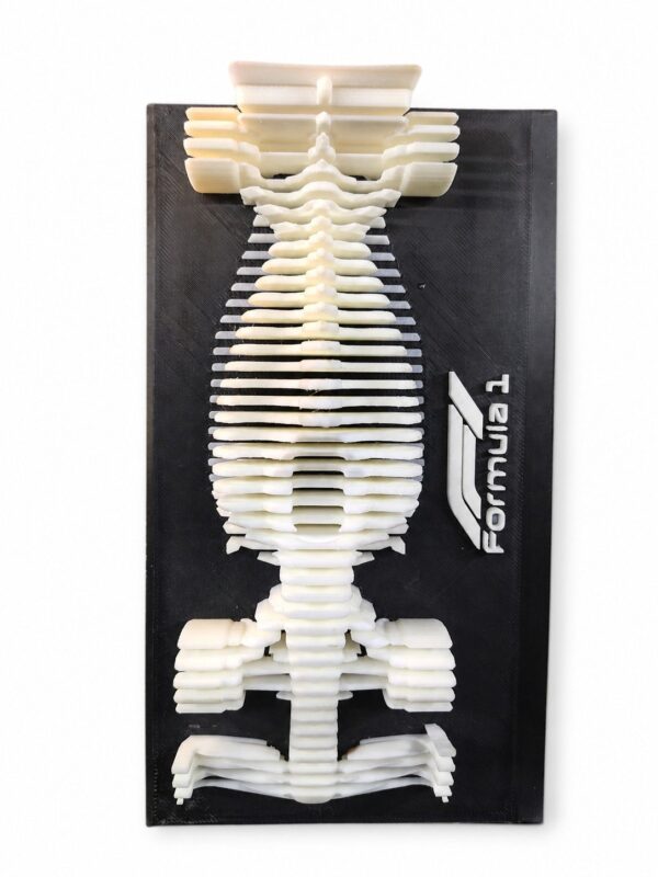 F1 Formula Frame