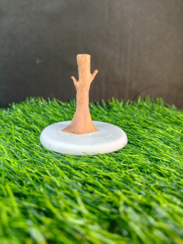 2026/05/15049.jpg Balance Bird Magic